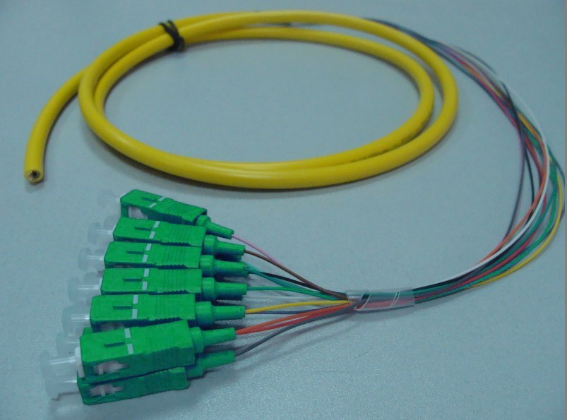 12 fiber sc/apc Patch Cord De Fibra Optica